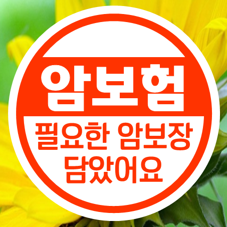  실버암보험 나이와 심사가 걱정된다면 간편심사암보험 괜찮은 선택이에요.