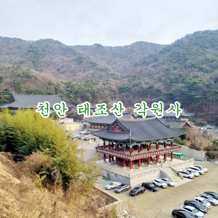  천안 가볼만한곳 추천 각원사 feat 천안12경