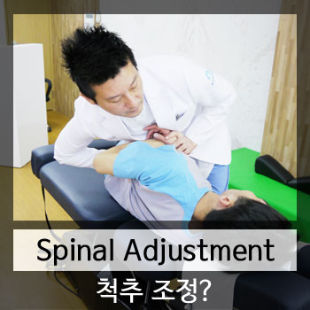 카이로프랙틱 도수치료 교육 Spinal Adjustment (척추 조정)이란?