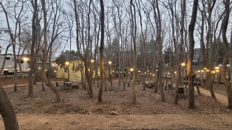  이색카페 커피플라워 진양호점, 분위기좋은 진주 판문동 카페