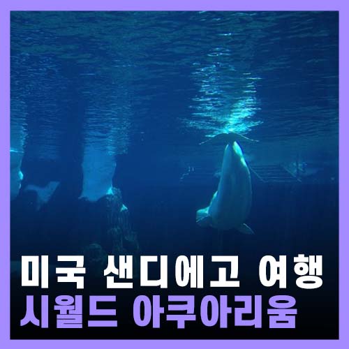  [미국] 샌디에고 여행 - 시월드 San diego, Sea world