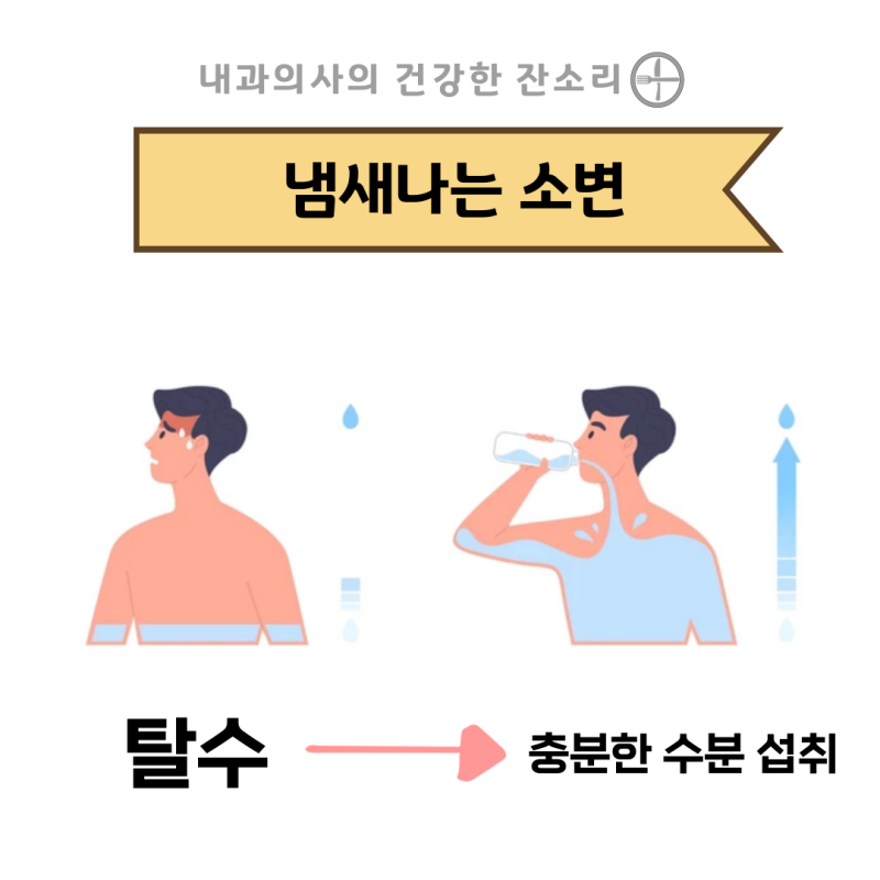 소변에서 나는 냄새 괜찮을까? 어디가 아픈 걸까? : 네이버 블로그