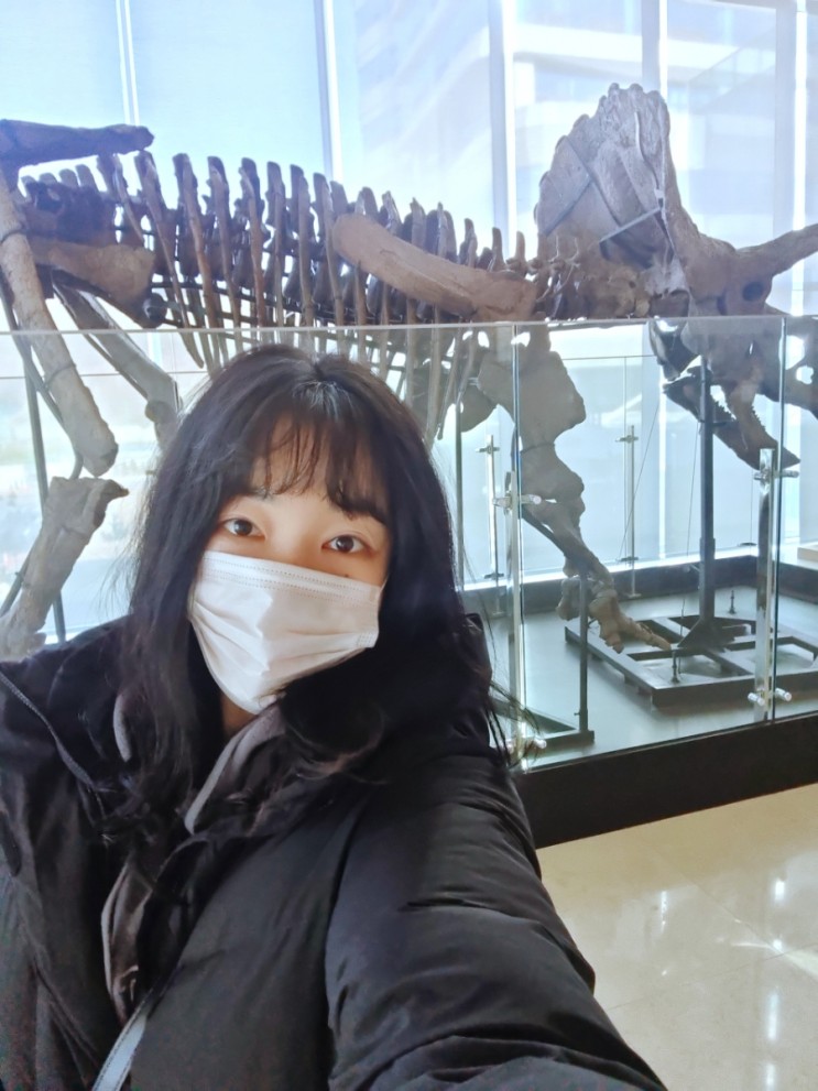 의정부 을지병원 공룡화석 트리케라톱스 실물 감상 후기
