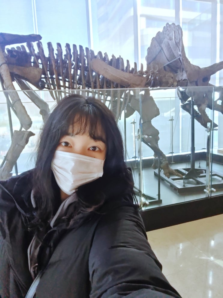  의정부 을지병원 공룡화석 트리케라톱스 실물 감상 후기