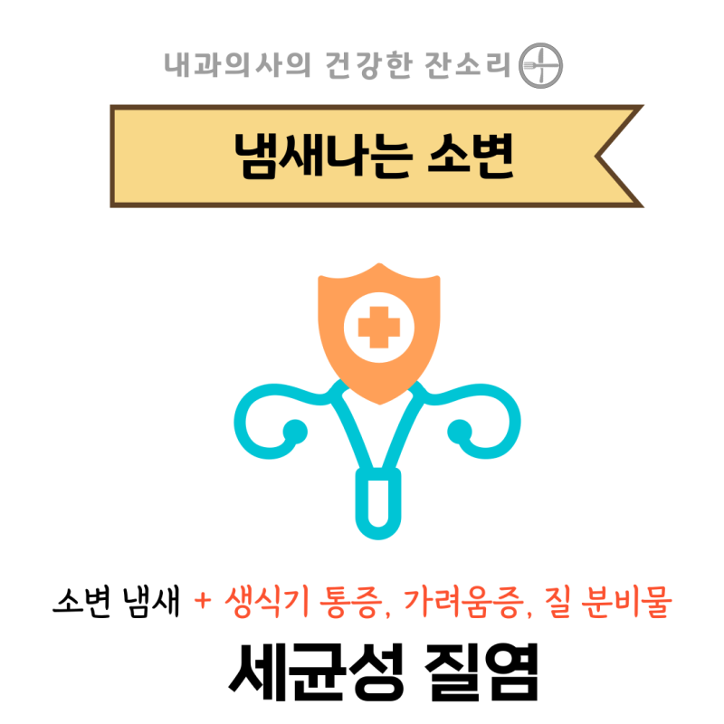 소변에서 나는 냄새 괜찮을까? 어디가 아픈 걸까? : 네이버 블로그 소변에서 나는 냄새 괜찮을까? 어디가 아픈 걸까? : 네이버 블로그