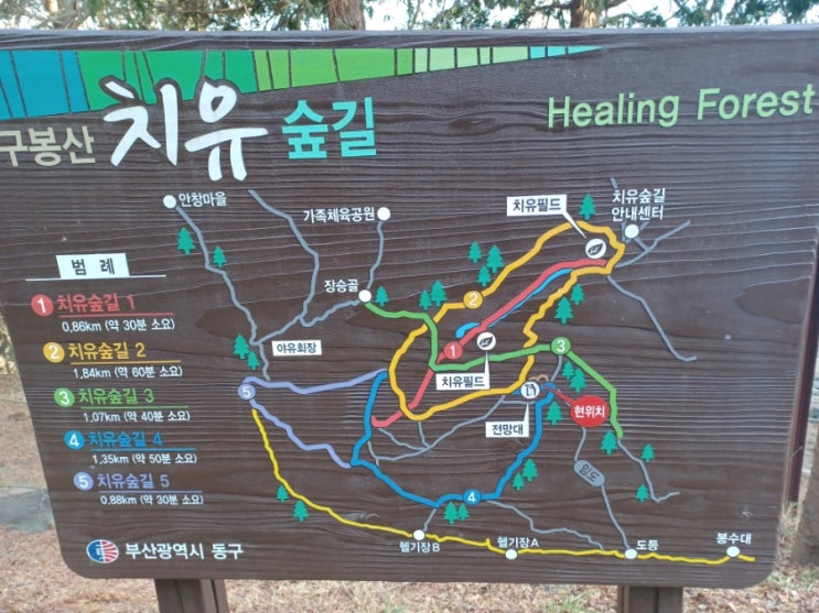 부산 구봉산 치유숲길 한바퀴 부산 구봉산 치유숲길 한바퀴