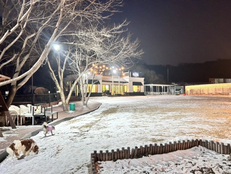  남양주 진접 애견운동장 그라운독 겨울 영업시간 변경