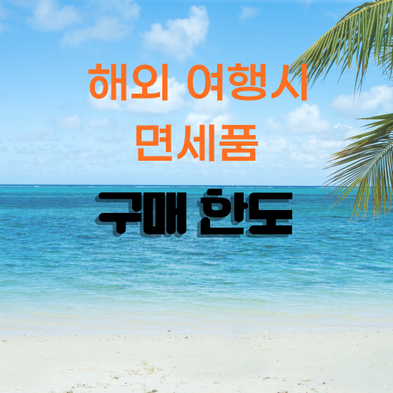  해외 여행시, 휴대품 면세 한도 800달러, 술 2병 그리고....