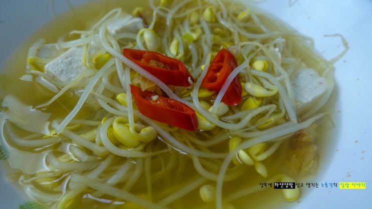  콩나물국 레시피, 시원하고 칼칼하게 콩나물국 끓이는 방법(맛 보장)