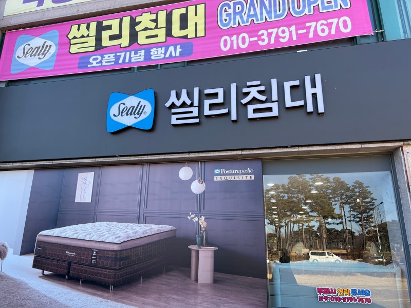 대전씰리침대 141몰리제 입주침대 할인매장