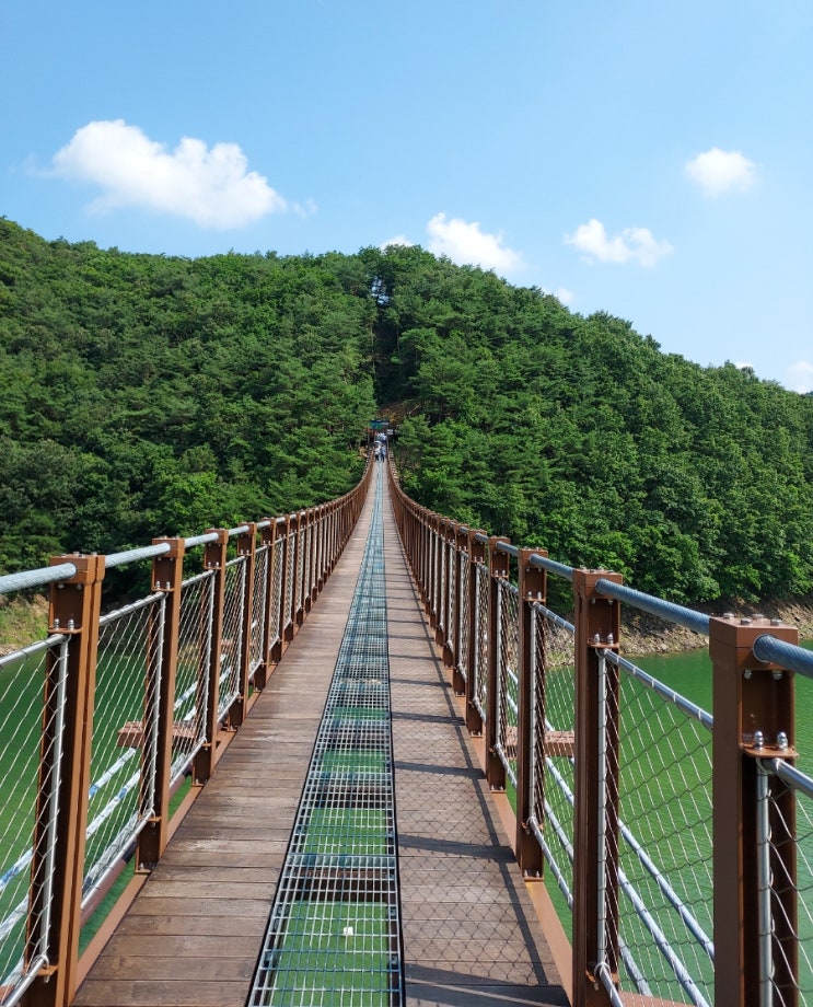  [충북/제천] 1박2일ㆍ여름휴가ㆍ옥순봉 출렁다리ㆍ제천화폐 (10)