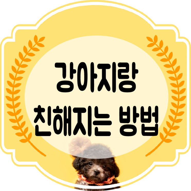  강아지랑 친해지는 법 한번 알아볼까요??