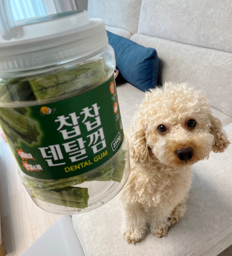  대용량 치석제거 강아지껌 오래 씹는 쏨달펫 찹찹 덴탈껌