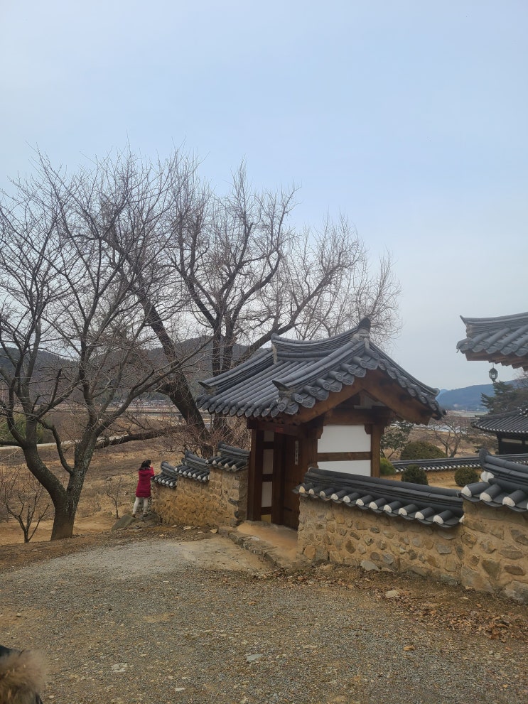  밀양에서 풍경좋고 운치 있는 금시당, 월연정 다녀왔어요~