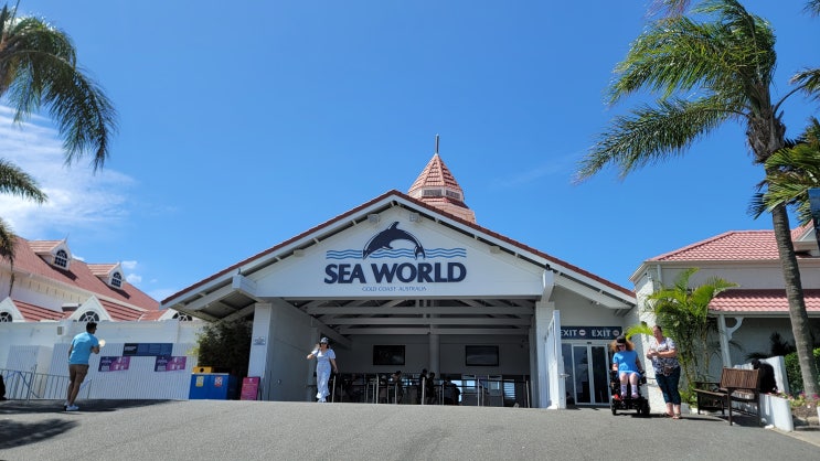  호주 골드코스트 2일차: Sea World(씨월드) 꿀팁