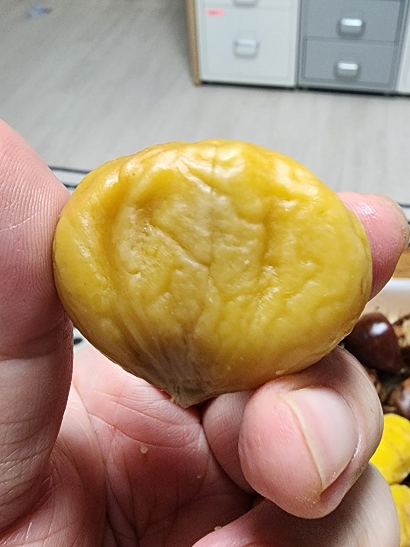 에어프라이어 밤굽기? 전자레인지 밤삶기! 중독되어버린 밤까기