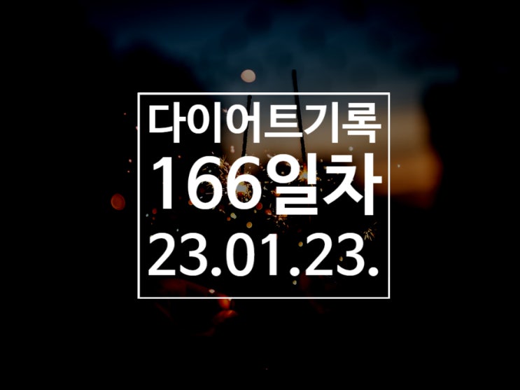  [다이어트기록DAY166] 사실은 먹부림 일기임