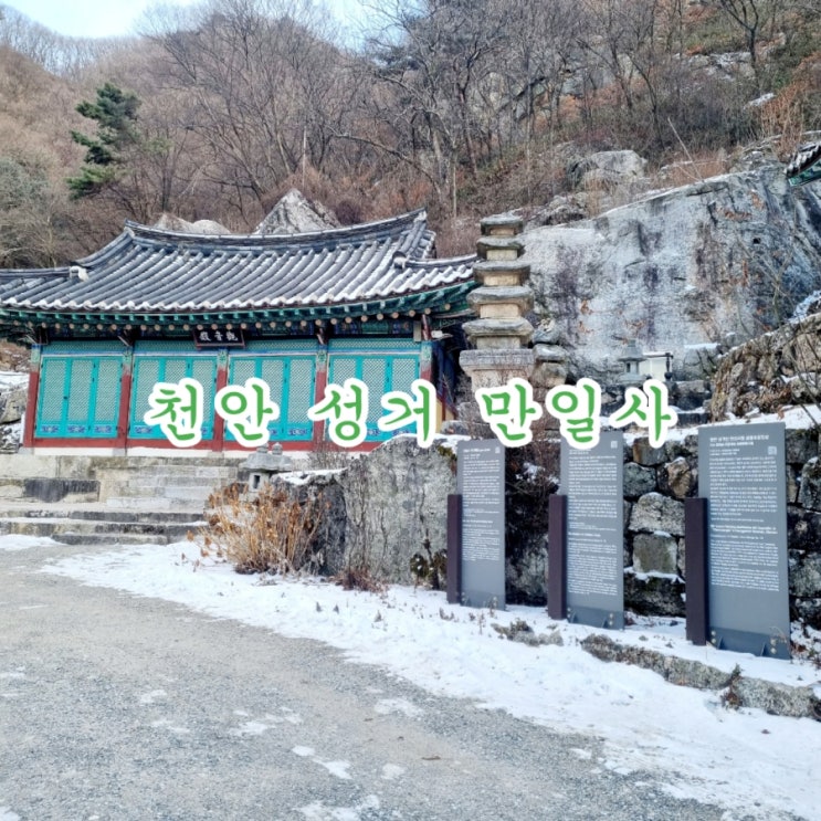  천안 가볼만한곳 천흥리 벽화마을~만일사
