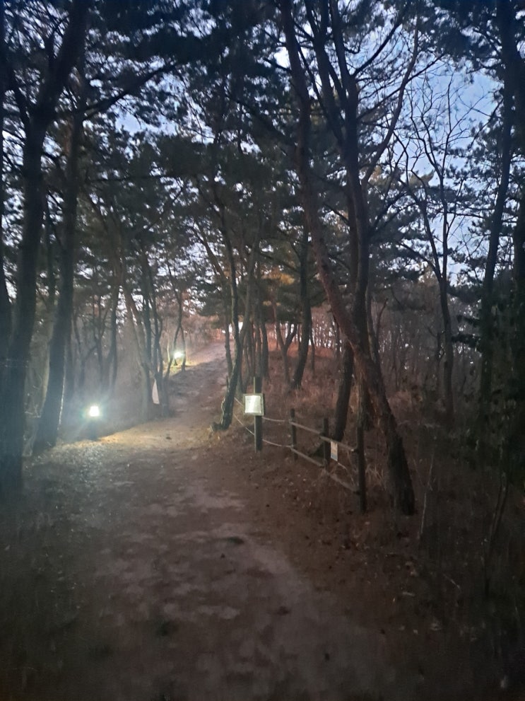  허영이란? 24일차 성공