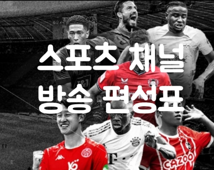  채널S | 채널A | 스포츠방송 | tvN sports | SBS sports | KBSN | MBC PLUS | SPOTV | 프리미어리그 | 방송 편성표