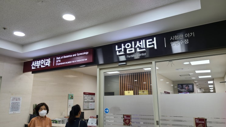  (3탄 - 수술 후 이야기) 자궁내막 용종(폴립) 자궁경 수술 후기 | 고대안산병원 산부인과, 대학병원 산부인과 진료비, 자궁경 수술비, 보험비 청구