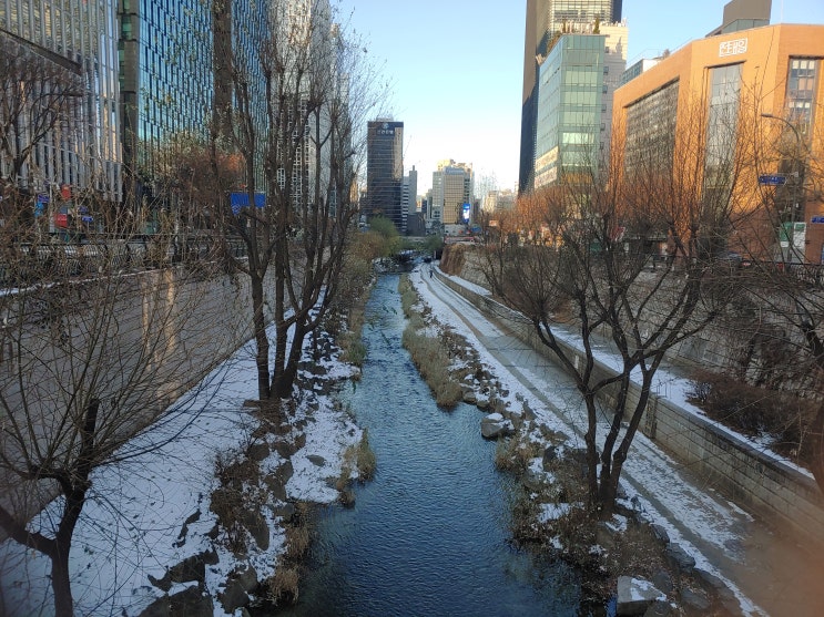 서울특별시 여행 (청계천 산책 : 한국 천주교회창립 터)