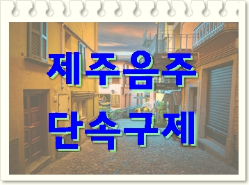  제주 음주운전 단속 적발되었다면