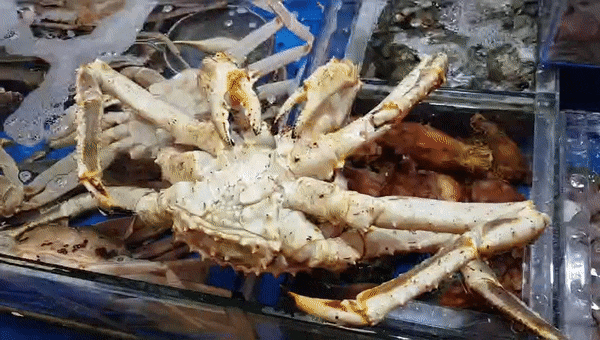 언제 먹어도 맛있는 킹크랩