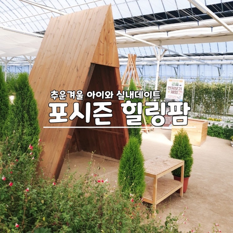  추운겨울 수원 아이와 가기 좋은 곳, 포시즌힐링팜 지금가세요