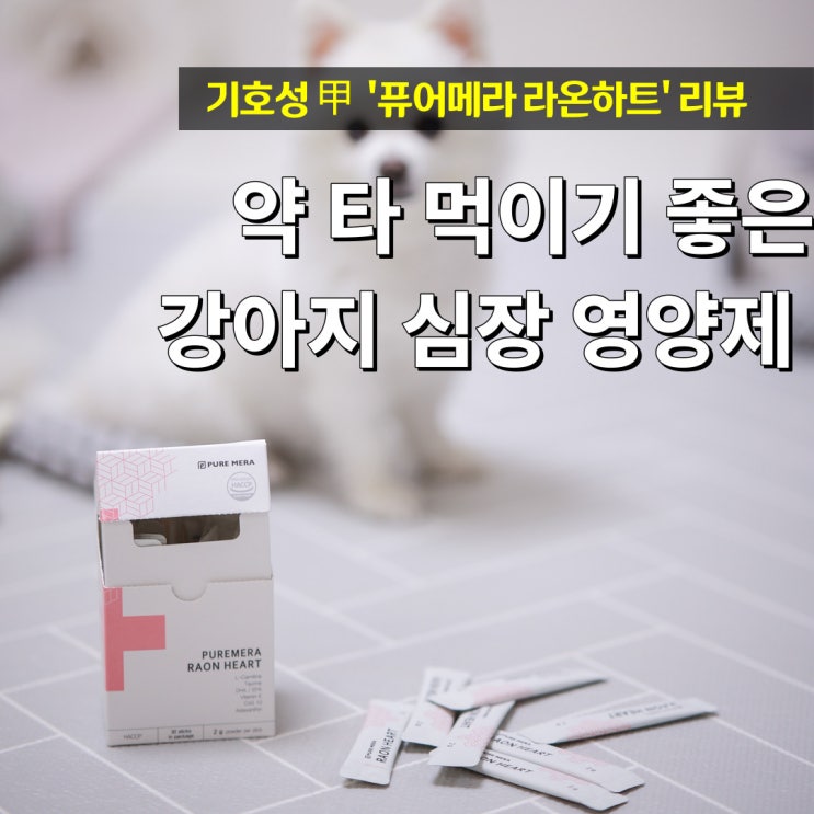  강아지 심장병 영양제 퓨어메라 라온하트