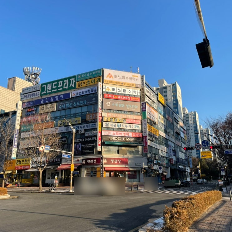 분당 수내동 푸른마을 쌍용 푸른마을 벽산 푸른마을 신성 임장후기