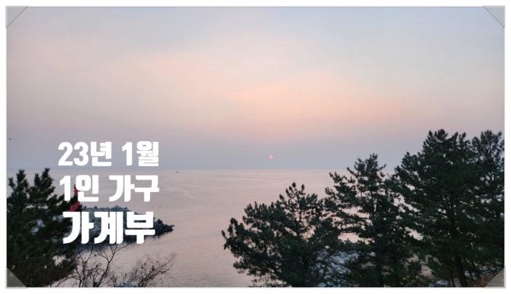  2023년 1월 가계부[40대 직장인 1인 가구](2022/12/25~2023/1/24)