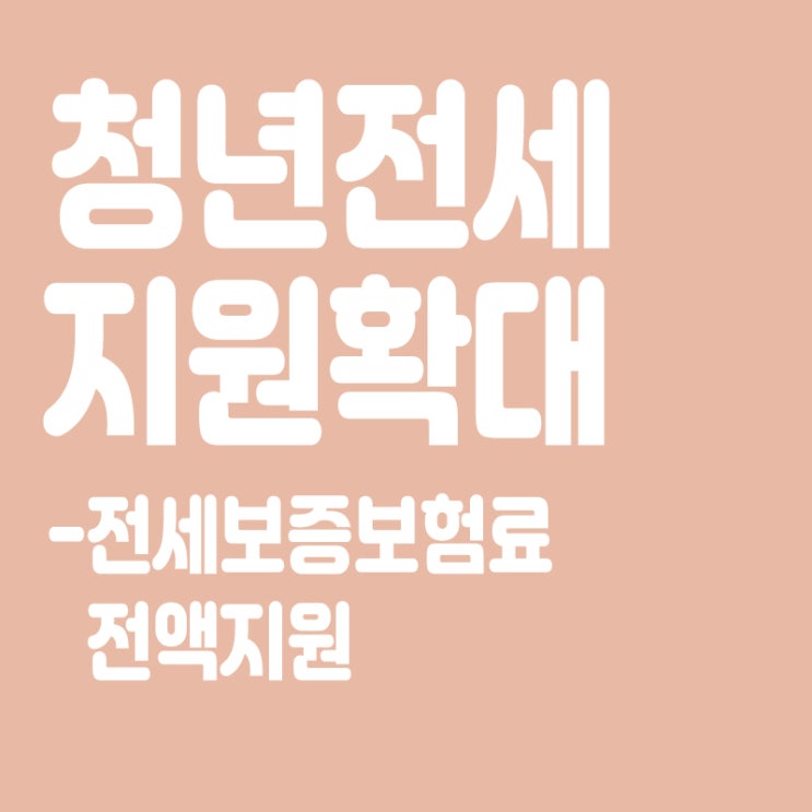  '전세사기 취약' 청년 20만명에 전세보증보험료 전액 지원 [청년전세지원 확대]