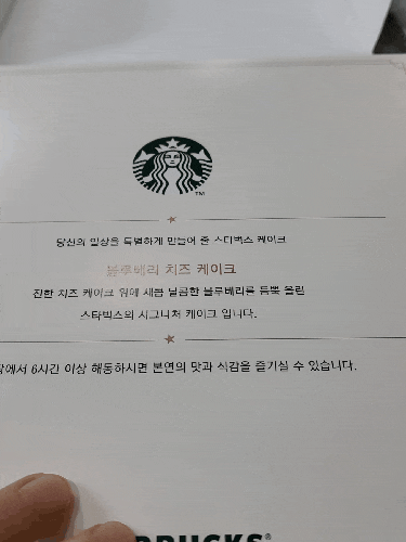  꾸덕하고 고급진 스타벅스 블루베리 치즈 케이크