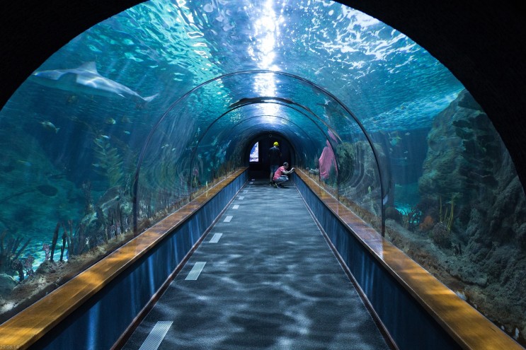 해저터널(지하화/지하도로 등)