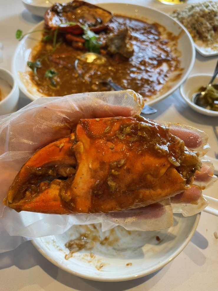  [첫번째 싱가포르] 팜비치 칠리크랩, 마리아나베이 무료 전망대, 슈퍼트리쇼 꿀팁