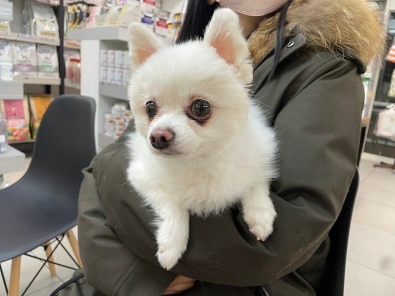 해운대 24시 동물병원/새벽2시