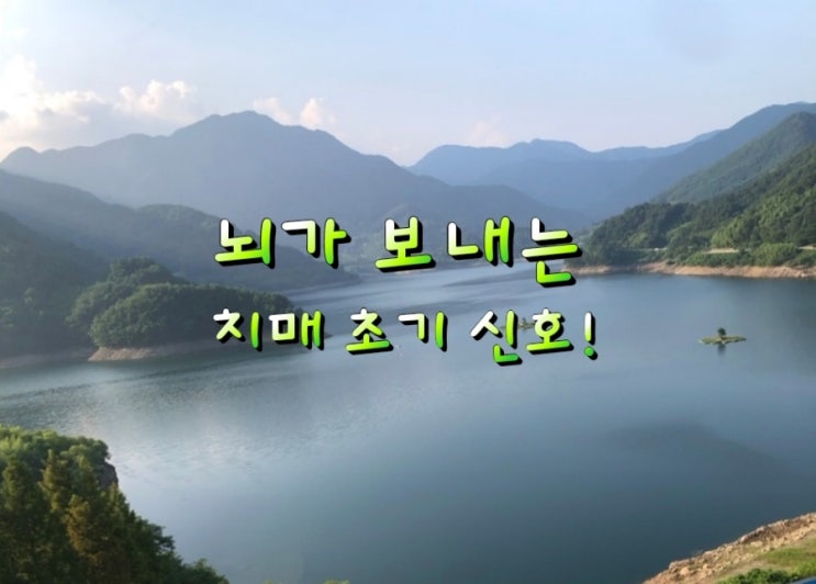 뇌가 보내는 치매 초기 신호! 뇌가 보내는 치매 초기 신호!