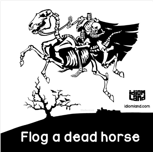  [영어] flogging a dead horse를 아시나요?