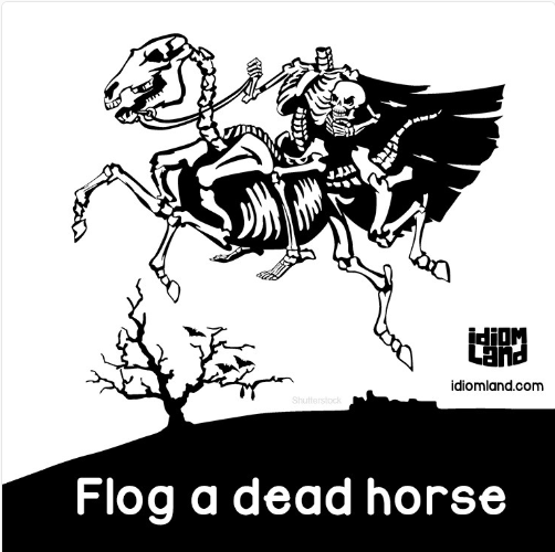 [영어] flogging a dead horse를 아시나요?