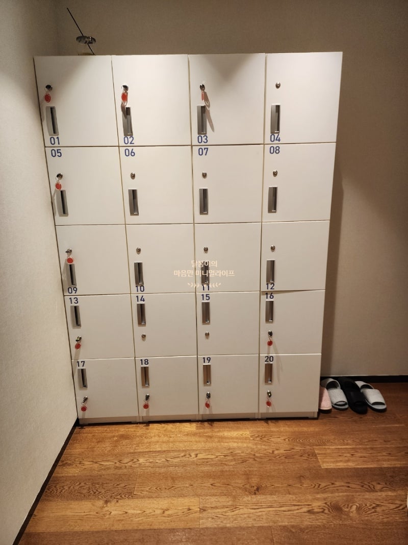 난임일기 #3 시험관 2차 동탄제일 & 저자극요법 시작 & 페마라정 : 네이버 블로그