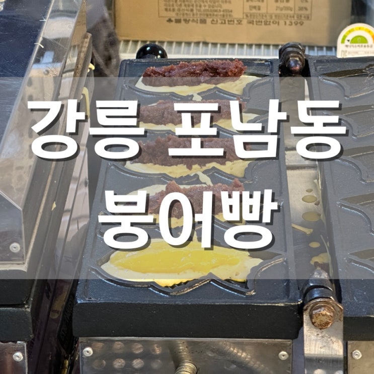  강릉 포남동 붕어빵 꼬리까지 꽉 찬 팥! 와플과 빵 그 사이 어딘가