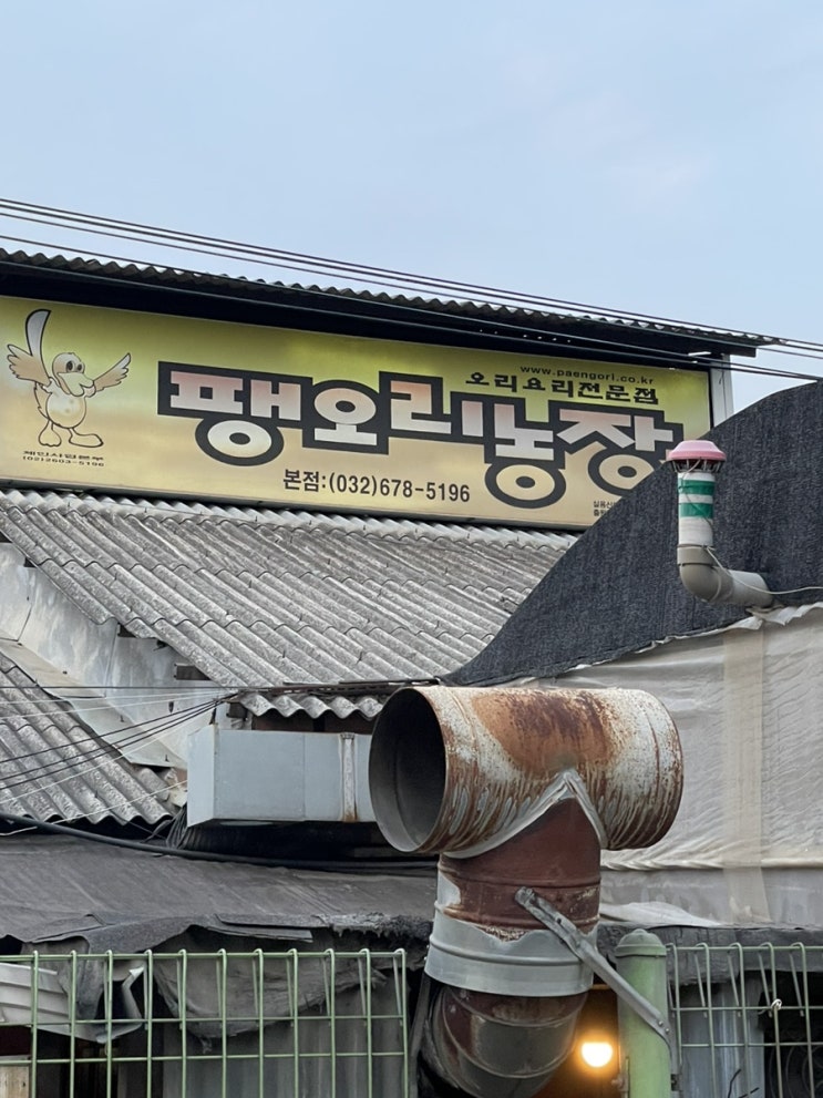  팽오리농장 n차 방문후기