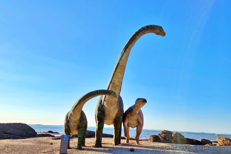  충남 보령 맨삽지,학성리 공룡발자국화석공원