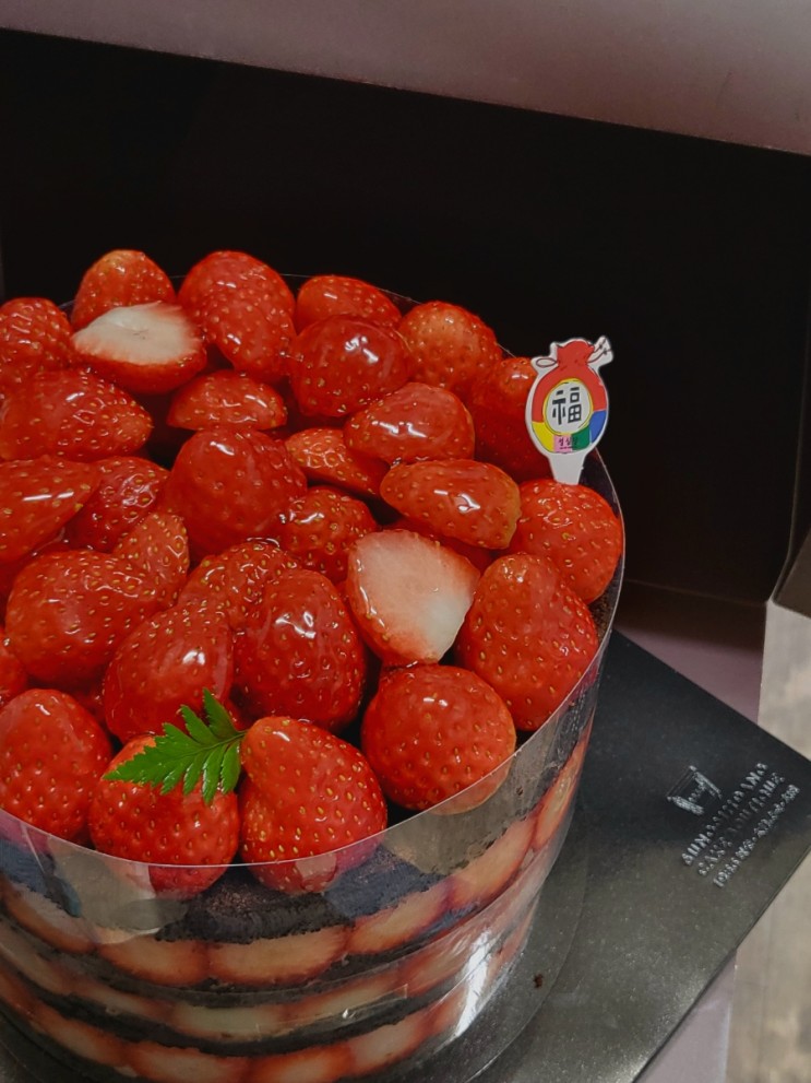 성심당딸기케이크 스트로베리쇼콜라 줄서서 구매한 후기(예약, 가격)