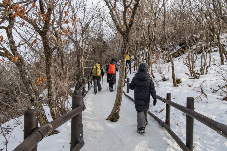 덕유산 상고대를 찾아 떠난 향적봉 대피소 (설천봉 &gt; 향적봉)