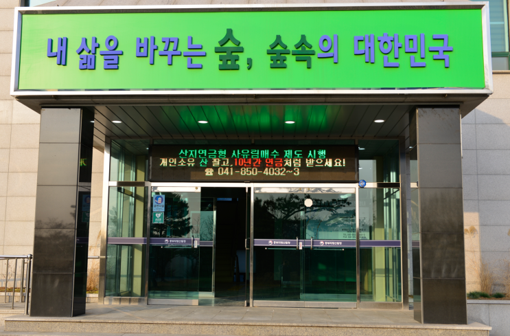 경영이 어려운 산, 산림청에서 삽니다! 경영이 어려운 산, 산림청에서 삽니다!