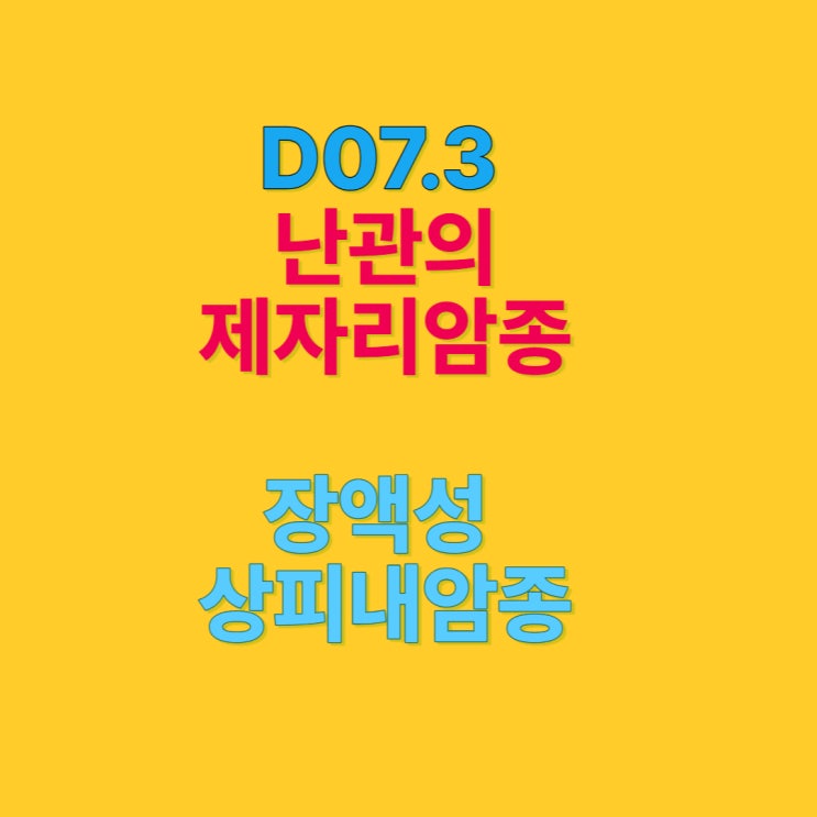  D07.3 난관 장액성상피내암종 일반암 진단비 보상 검토!!