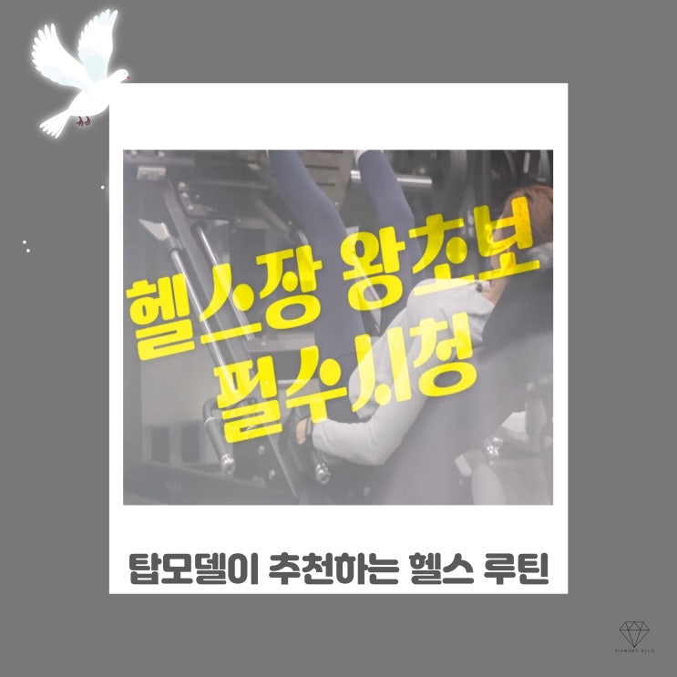  탑모델이 추천하는 헬스장 운동 루틴 (for 헬린이)
