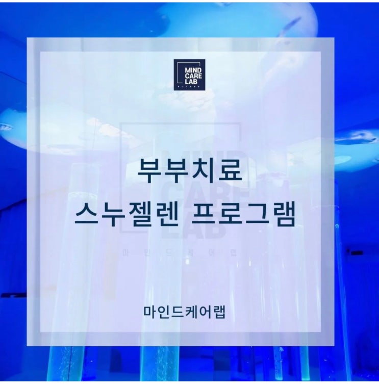  (스누젤렌 프로그램 실제 3)                                                           『마인드케어랩』의 부부치료 스누젤렌 프로그램
